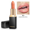 Brand Professional Lips Makeup Waterproof Shimmer Long Lasting Pigment Nude Pink Mermaid Shimmer Lipstick Luxury Makeup Cosmetic